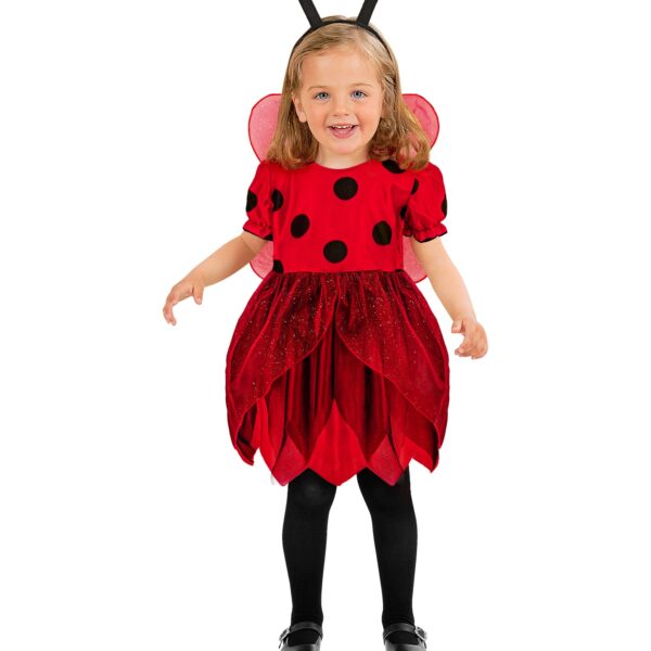 costume da coccinella