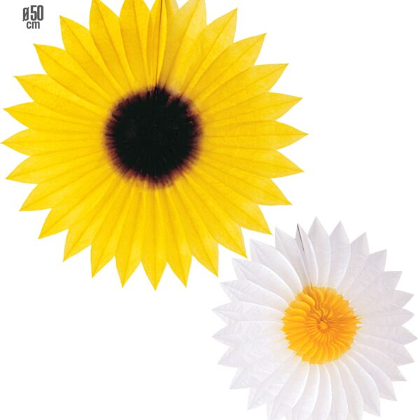 rosoni margherita e girasole