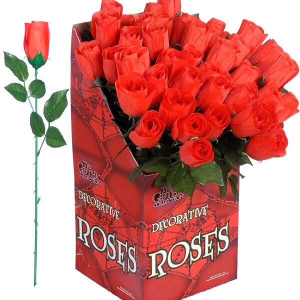 rosa rossa