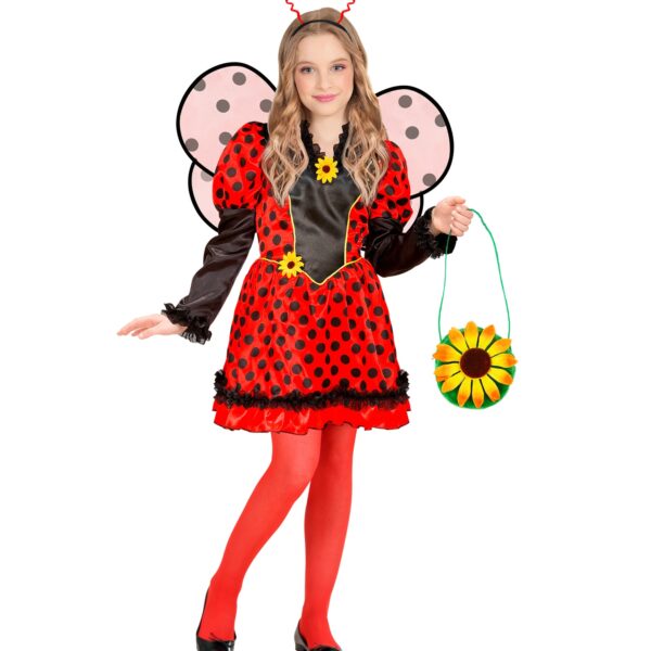 costume da coccinella
