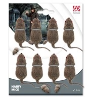 ratto peloso
