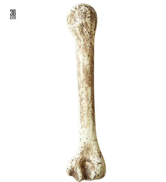 osso gigante primitivo