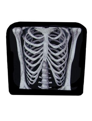 coprisedia busto scheletro