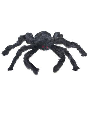 ragno nero peloso