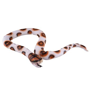 serpente pitone in lattice
