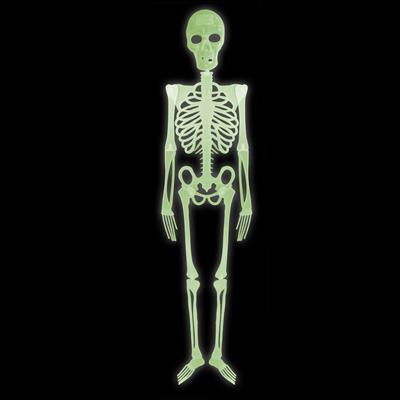 scheletro snodato fluorescente