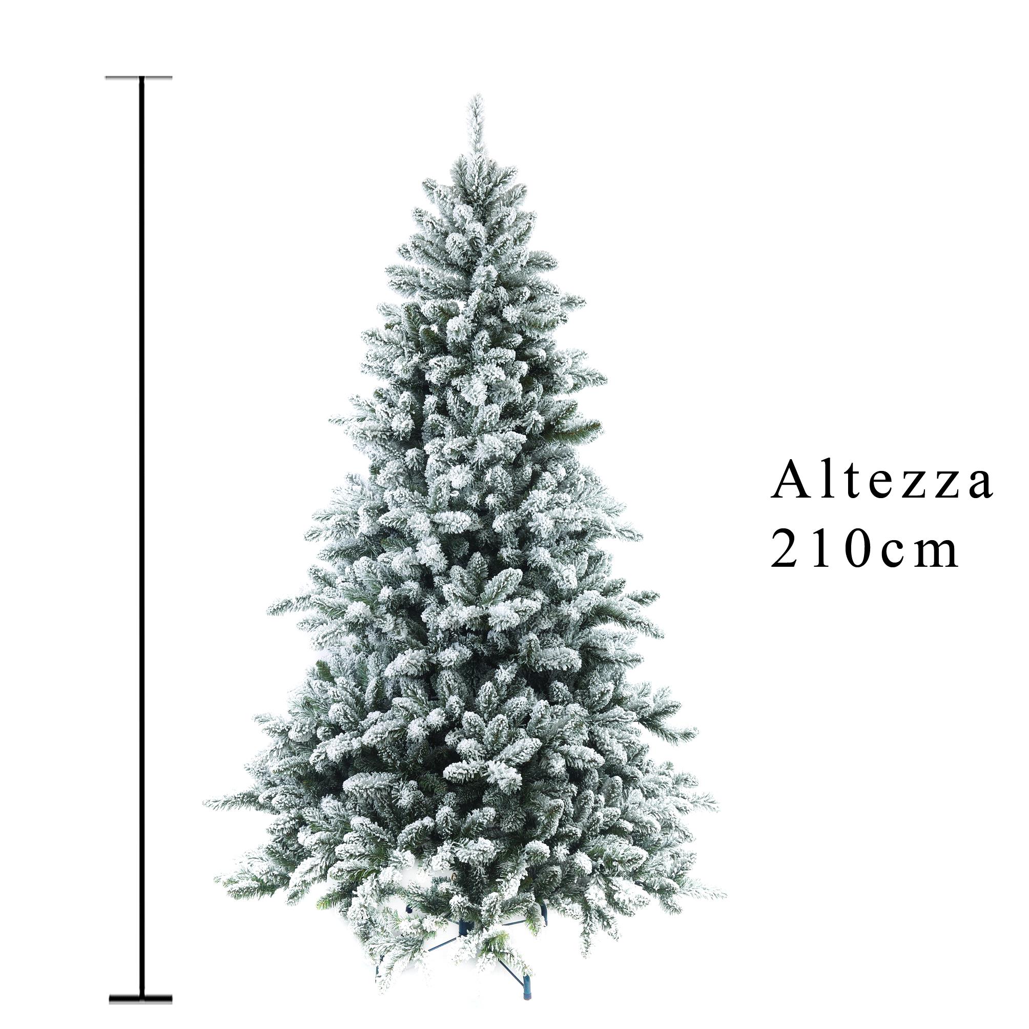 abete cimone innevato