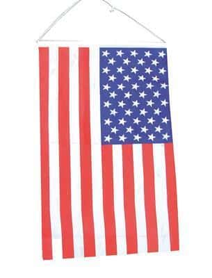 bandiera piccola degli stati uniti d'america