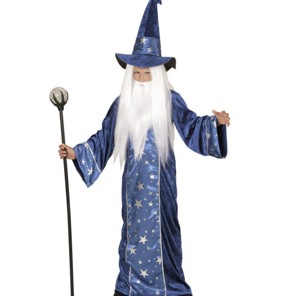 costume da mago merlino