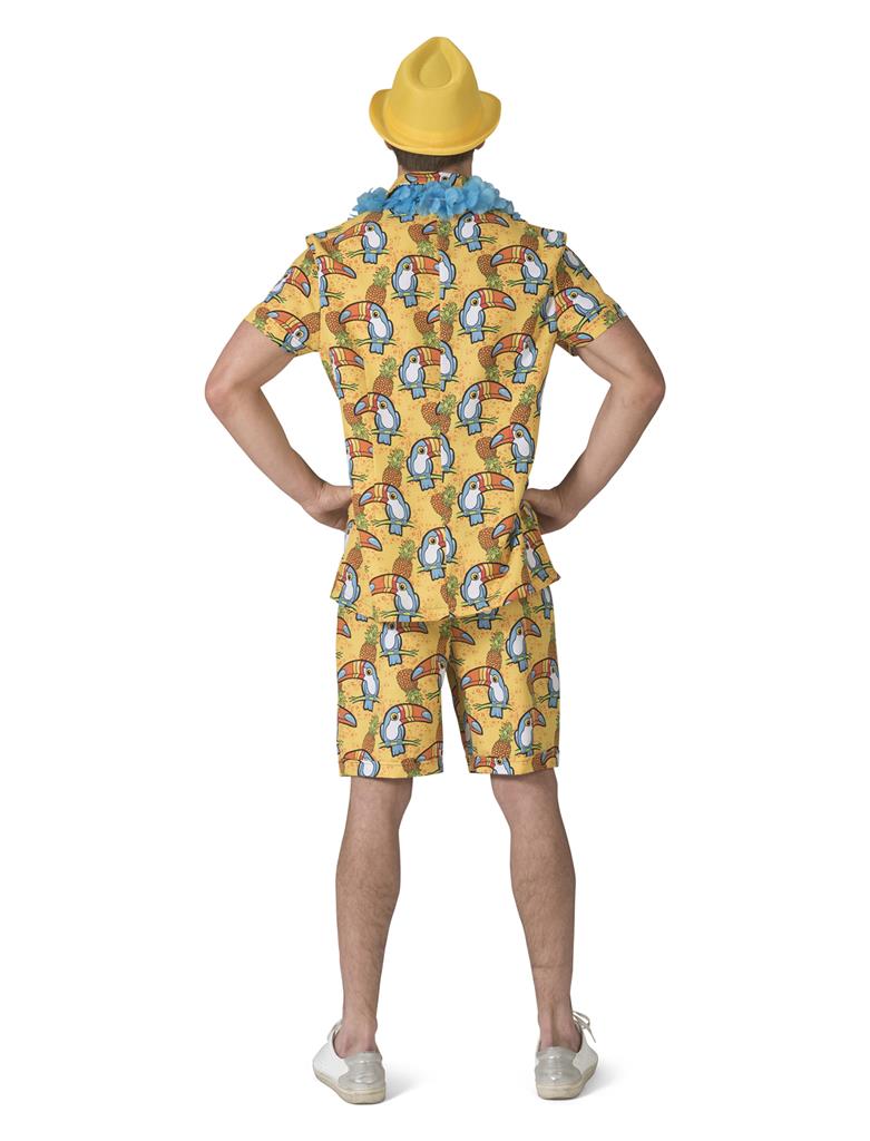 costume da hawaiano