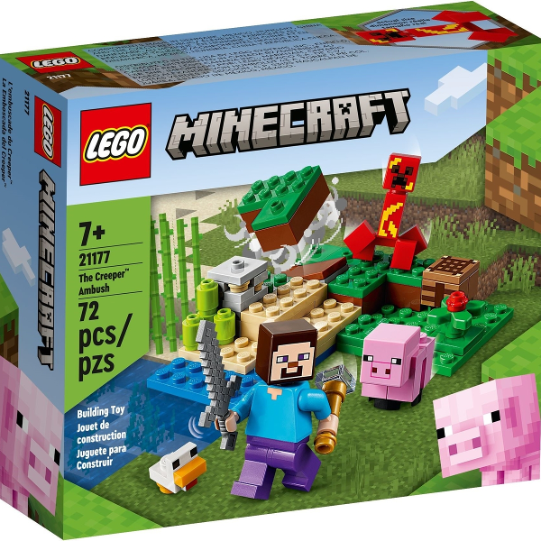 21177 1 (1)