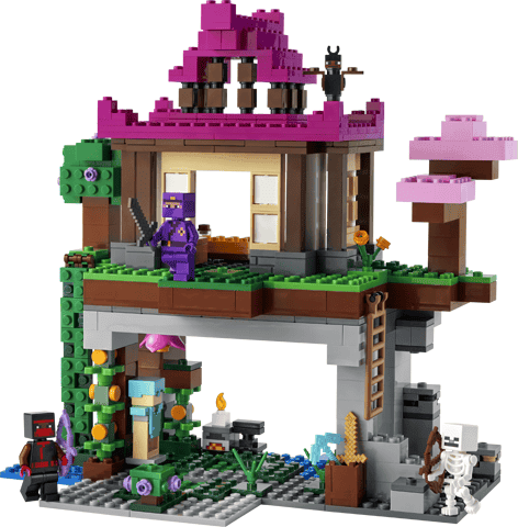 lego minecraft i campi d'allenamento