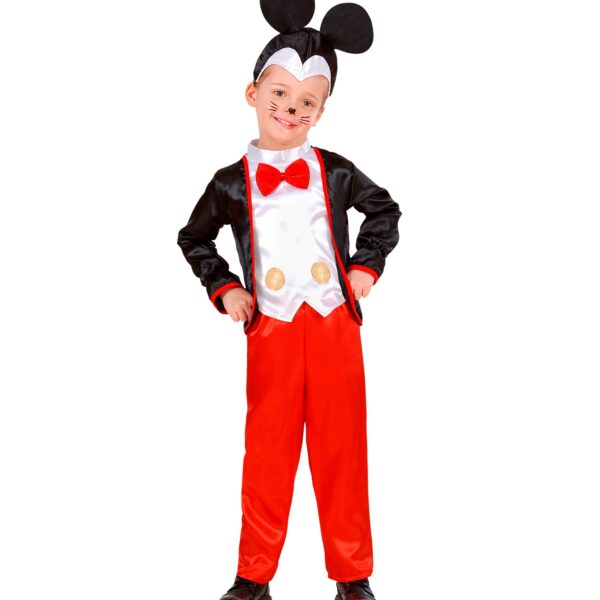 costume da minnie