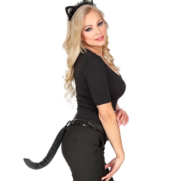 kit da gatto