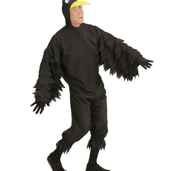 costume da corvo