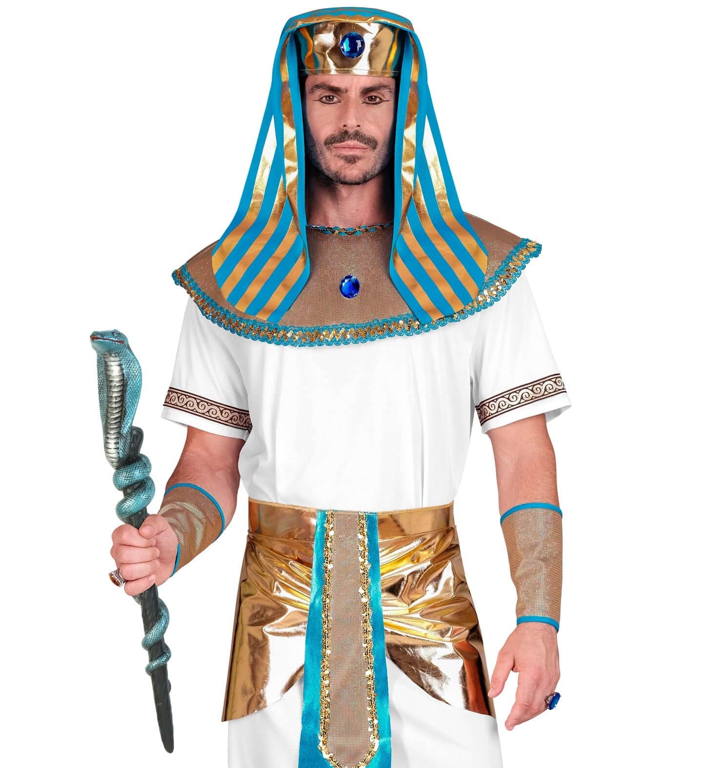 bastone con serpente cobra (copia)