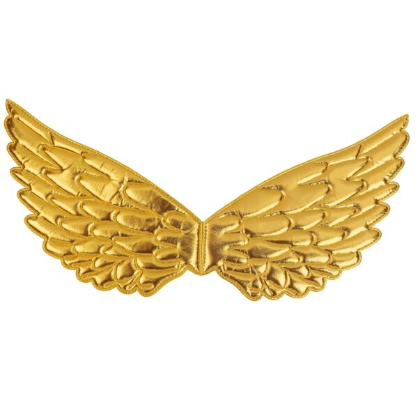 costume da angelo (copia)