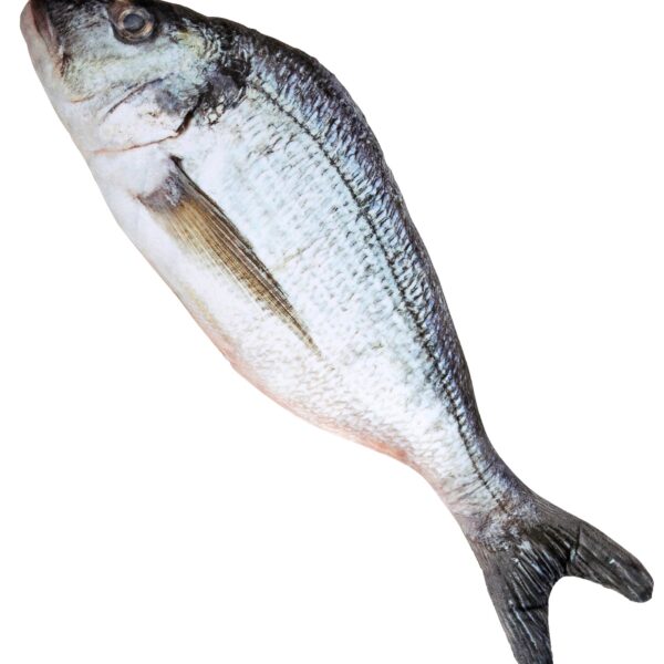 pesce finto