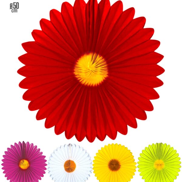 rosone margherita colori assortiti