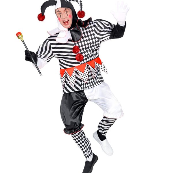 costume da arlecchino