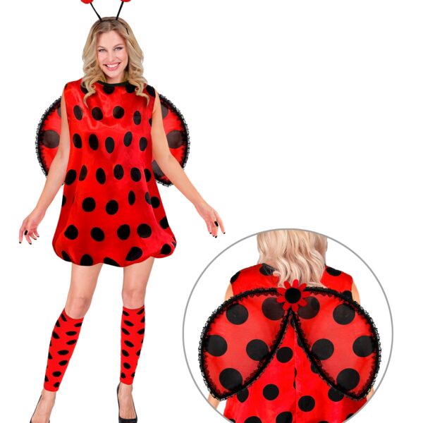 costume da coccinella