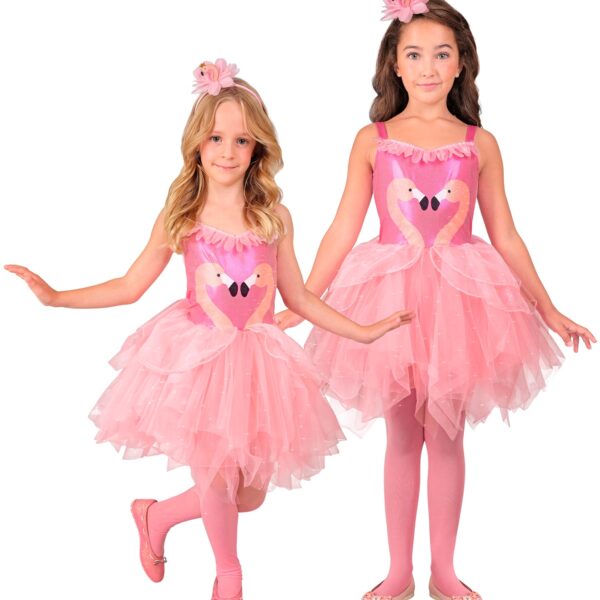 costume da fenicottero
