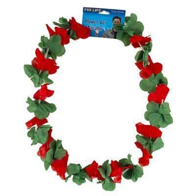 collana di fiori hawaiana spagna (copia)