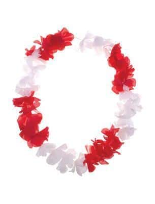 collana di fiori hawaiana portogallo (copia)
