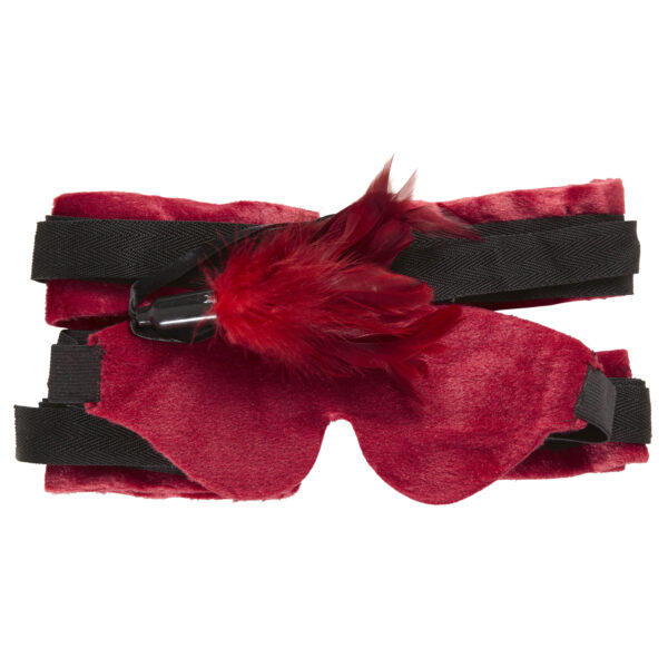 giarrettiera rosa con pene (copia)