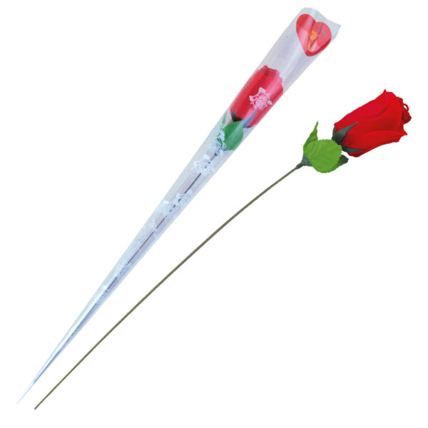 perizoma a rosa rossa