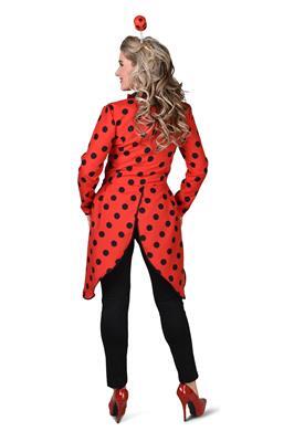 costume da coccinella
