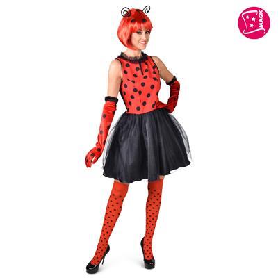 costume da coccinella