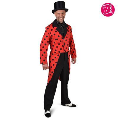 costume da coccinella