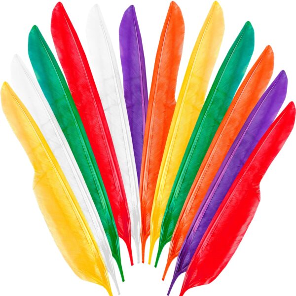 piume da indiano colori assortiti (copia)