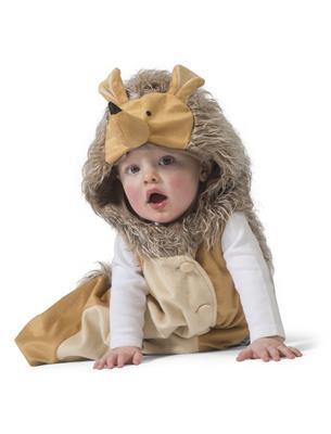 costume da riccio