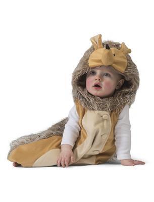 costume da riccio