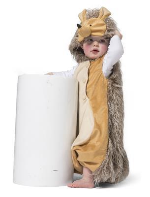 costume da riccio