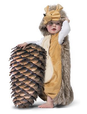 costume da riccio