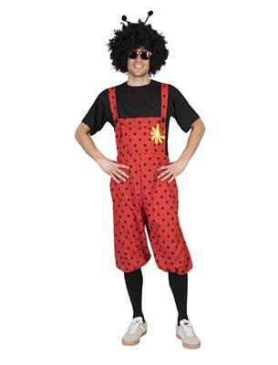 costume da coccinella
