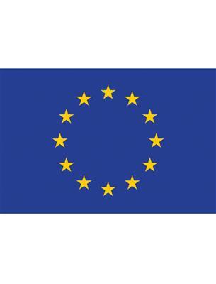 bandiera inghilterra (copia)