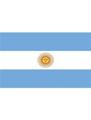 bandiera finlandia (copia)