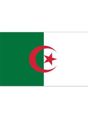 bandiera sud africa (copia)