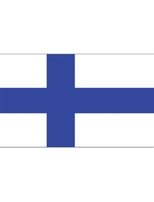 bandiera islanda (copia)