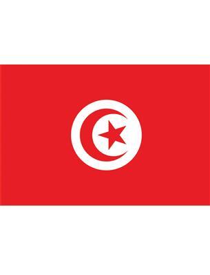 bandiera israele (copia)