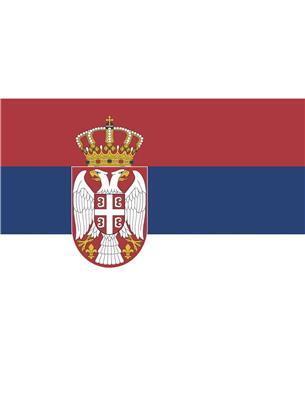 bandiera svizzera (copia)