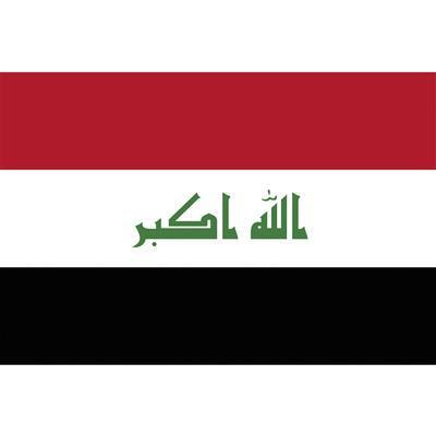 bandiera palestina (copia)