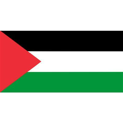 bandiera algeria (copia) (copia)