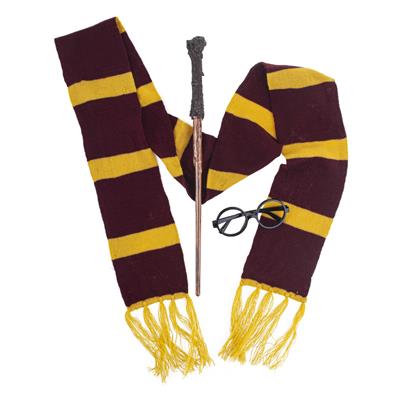 set mago da harry potter