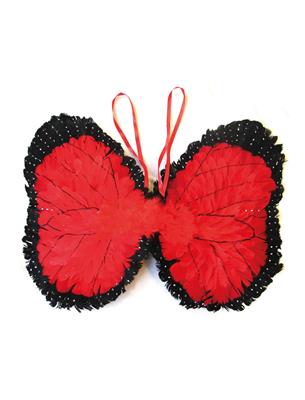 ali da coccinella (copia)