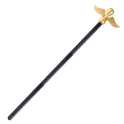 lancia da guerriero (copia)